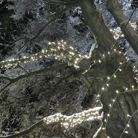 Boyana - Free Parking