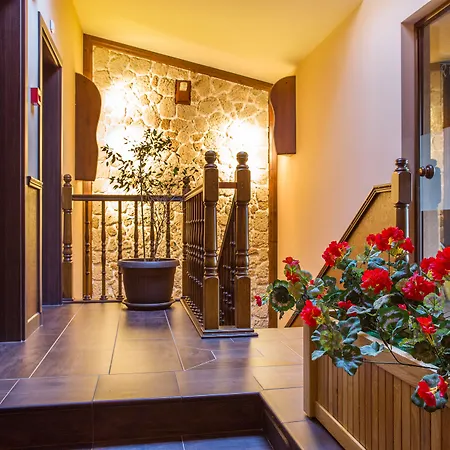 Boyana - Free Parking 4*