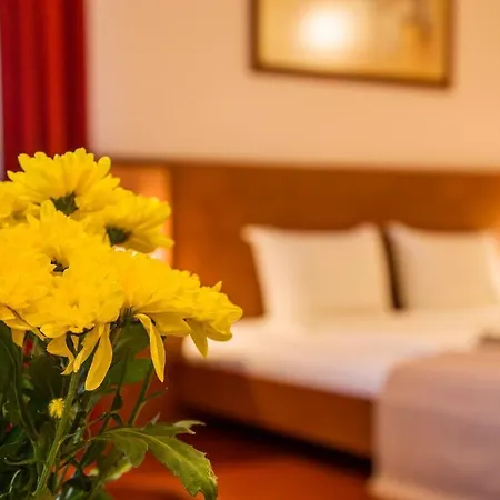 Boyana - Free Parking