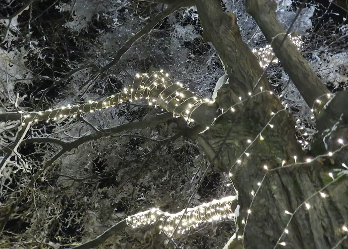 бояна - безплатен паркинг