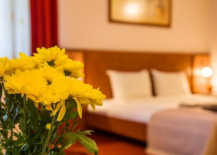 Boyana - Free Parking