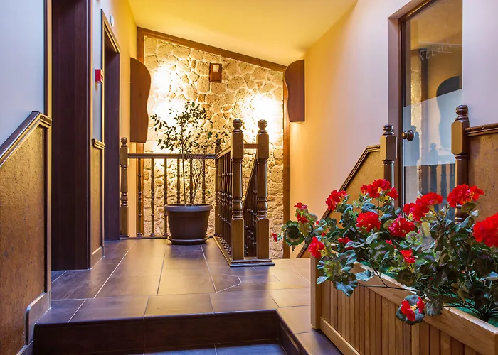 Boyana - Free Parking