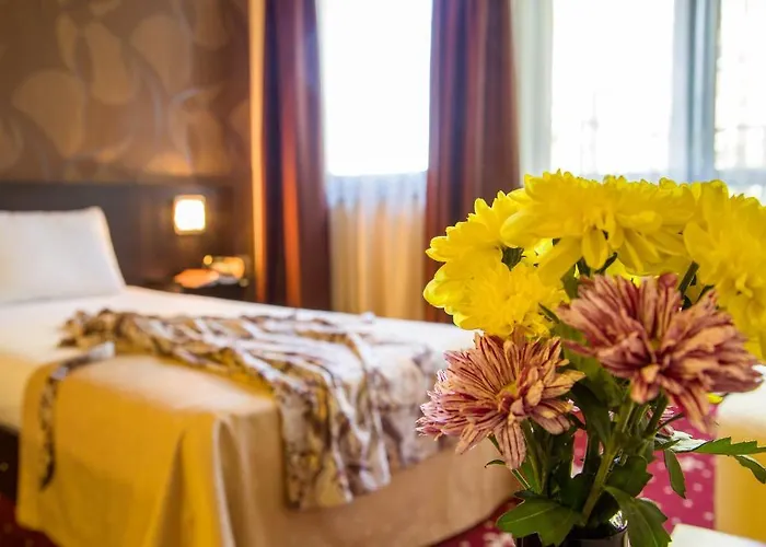 Boyana - Free Parking 4*